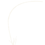 Arrow White Zaraza - Boutique Creative Marketing Agency