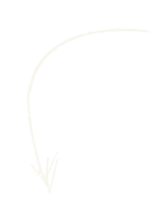 Arrow White Zaraza - Boutique Creative Marketing Agency