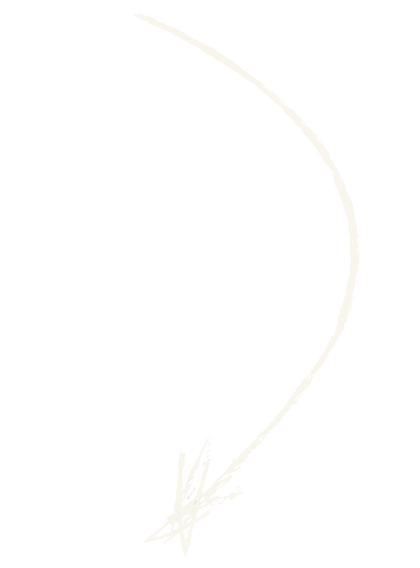 White Arrow zaraza - Boutique Creative Marketing Agency