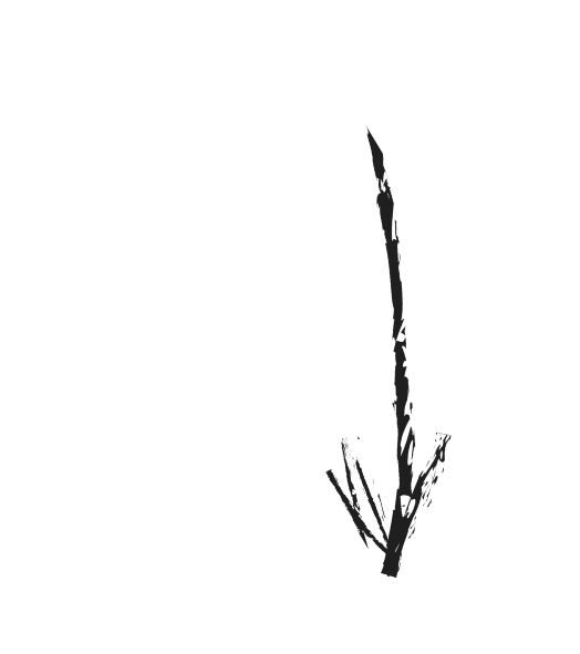 Arrow handwritten - Zaraza Boutique Creative Marketing Agency